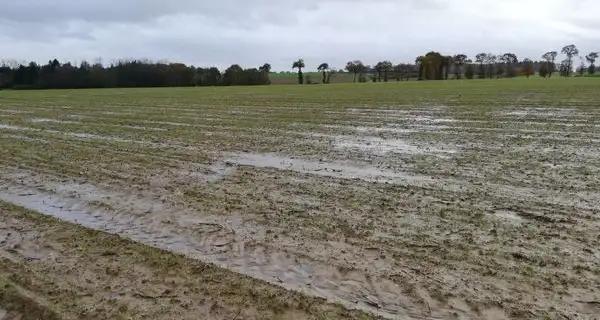 Tunisie - Météo : Le ministère de l’Agriculture appelle à la vigilance