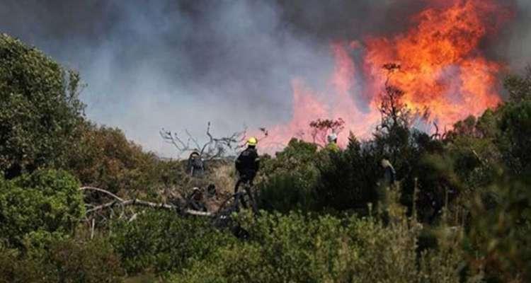 سليانة: إندلاع حريق بجبل بلوطة