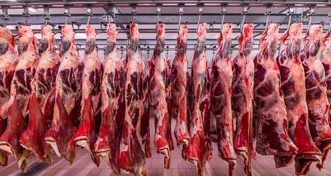 وصول شحنة من اللحوم الموردة وغدا الترويج بسعر 35،6 د
