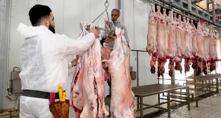 تونس: لا وجود لأي مسلخ يستجيب للمواصفات الصحيّة والبيئيّة