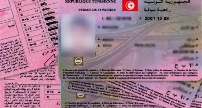 مفاوضات بين تونس وعدد من الدول للإعتراف المتبادل برخص السياقة