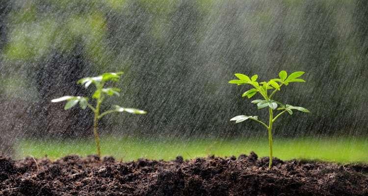 Après de longues séquences de sécheresse, la pluie s’abat sur la Tunisie