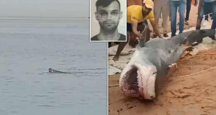 Egypte : Un touriste tué par un requin, la scène filmée !