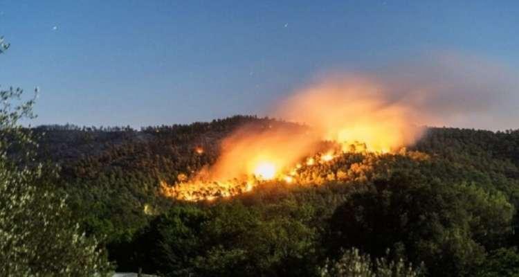 Tunisie : Un décès suite aux incendies déclarés à Nefza