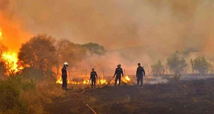 Incendies : TT offre un solde à ses abonnés localisés dans la zone de Tabarka