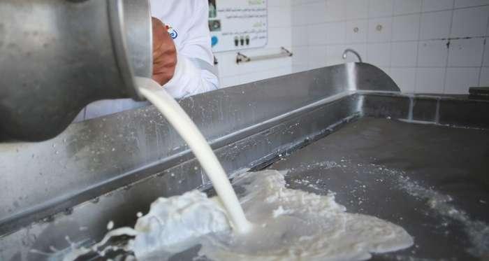 Tunisie : Le dénouement de la crise du lait prévu dans deux semaines