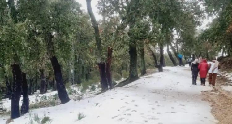 Tunisie - Aïn Draham sous la neige : Affluence remarquable pour une escapade hivernale