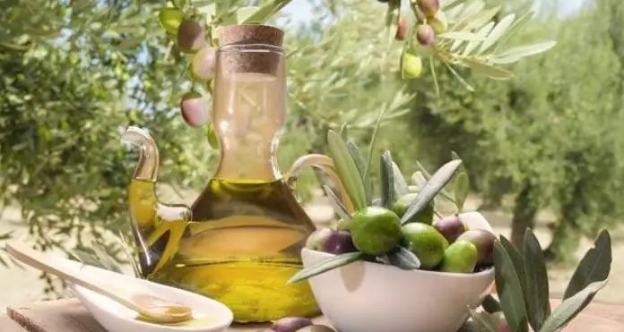 Tunisie - Tozeur : L’huile d’olive à 12 dinars, du producteur au consommateur