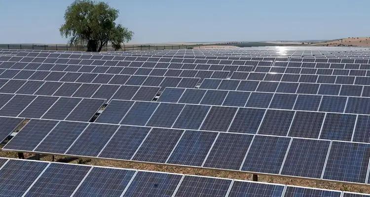 Un projet solaire géant à Sidi Bouzid grâce à une subvention japonaise