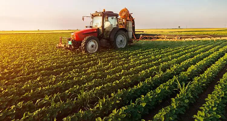 Tunisie : Les entreprises communautaires vont-elles bénéficier des terres agricoles domaniales ?
