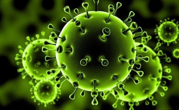 هل المتحور الجديد لكورونا “أركتوروس” أخطر من المتحورات السابقة؟.. محجوب العوني يوضح