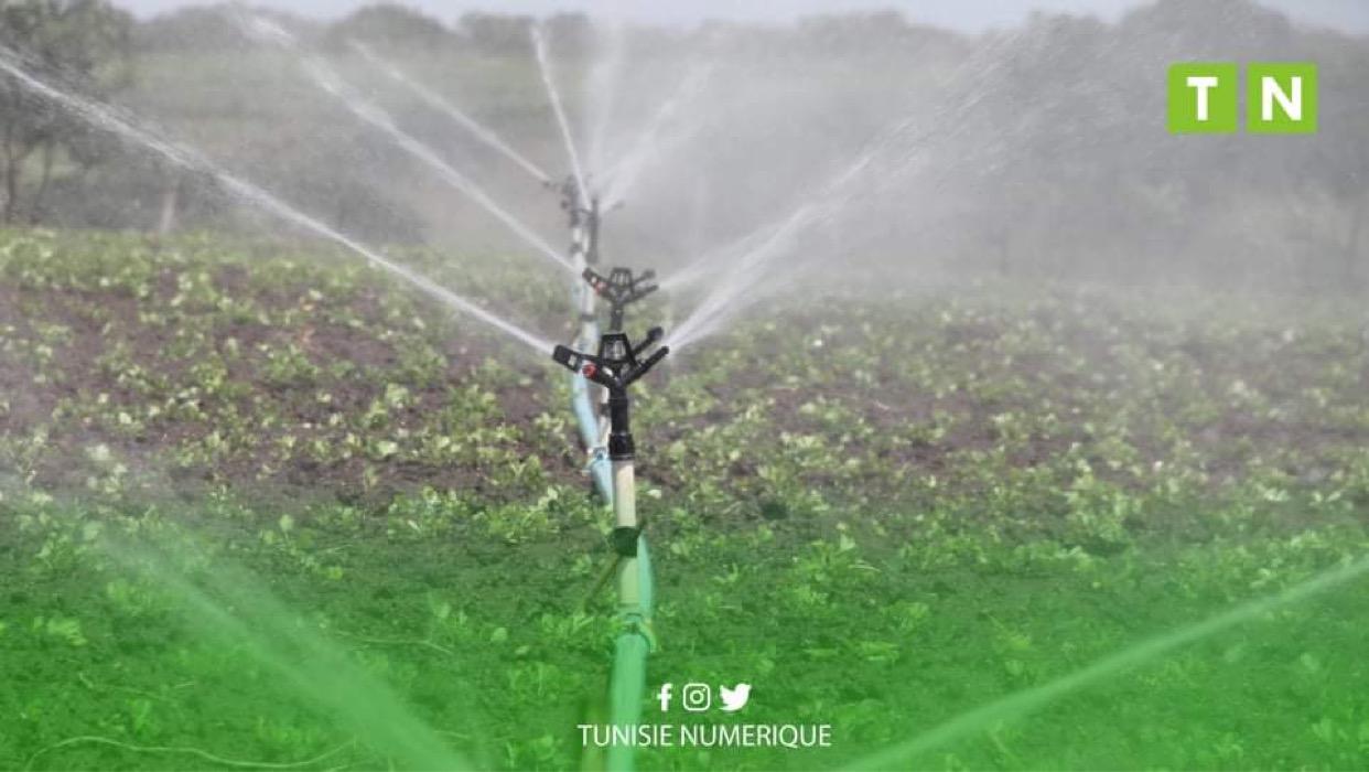 سليانة: الاتحاد الجهوي للفلاحة يطالب باطلاق سراح الموقوفين