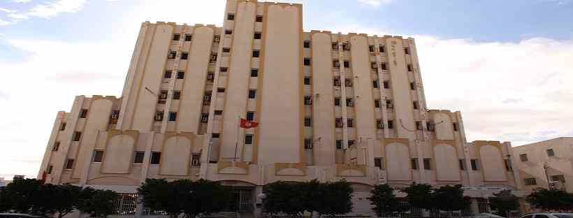 ديوان تنمية الجنوب يفتح باب الترشح لتقديم مقترحات لتمويل مجامع تنمية فلاحية بولايات الجنوب