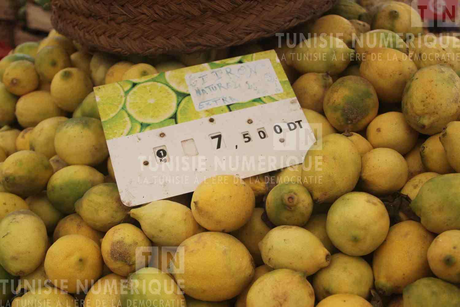 السوق المركزية بالعاصمة اليوم: انخفاض في أسعار الخضر والغلال مُقابل إرتفاع أسعار الأسماك (صور)