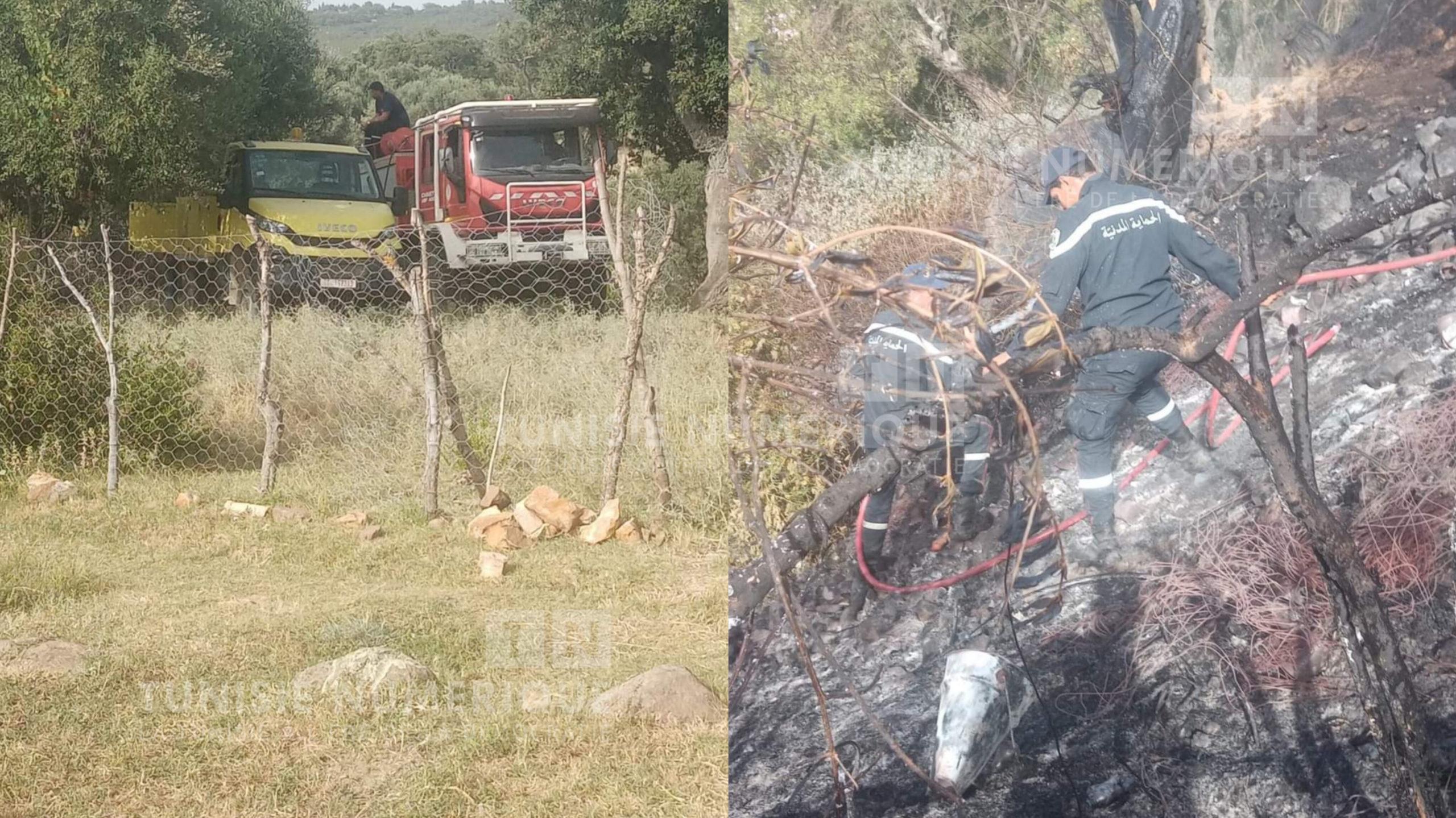 جندوبة: حريق يأتي على أشجار مثمرة وزيتون
