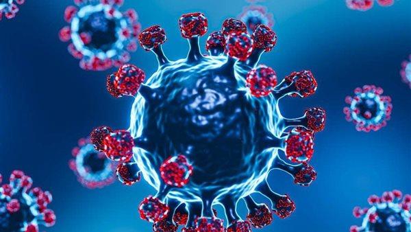 الدكتور رفيق بوجدارية يوضح حقيقة الوضع الوبائي في تونس