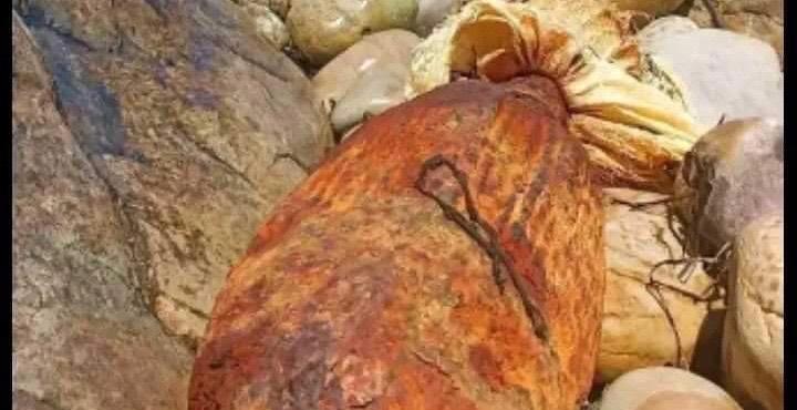 الهوارية: تفجير قذيفة من مخلفات الحرب العالمية الثانية 