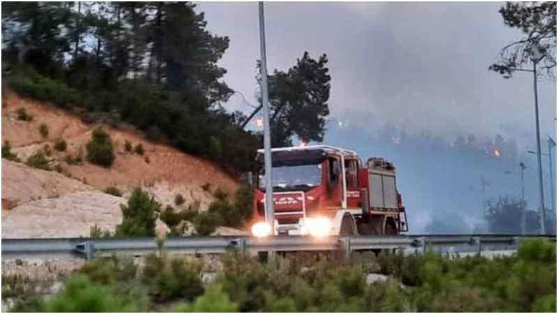 سليانة: السيطرة على حريق بجبل بلوطة