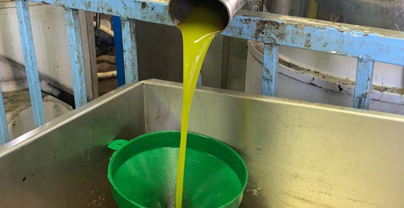 القصرين: تعطل انجاز معصرة ووحدة لتعليب الزيت البيولوجي ومخبر للتحاليل (تصريح)