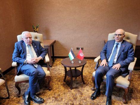 وزير الخارجية : “نصرة الحق الفلسـ.طيني يعدّ مسؤوليّة أخلاقيّة وقانونيّة محمولة على المجموعة الدوليّة بأسرها”