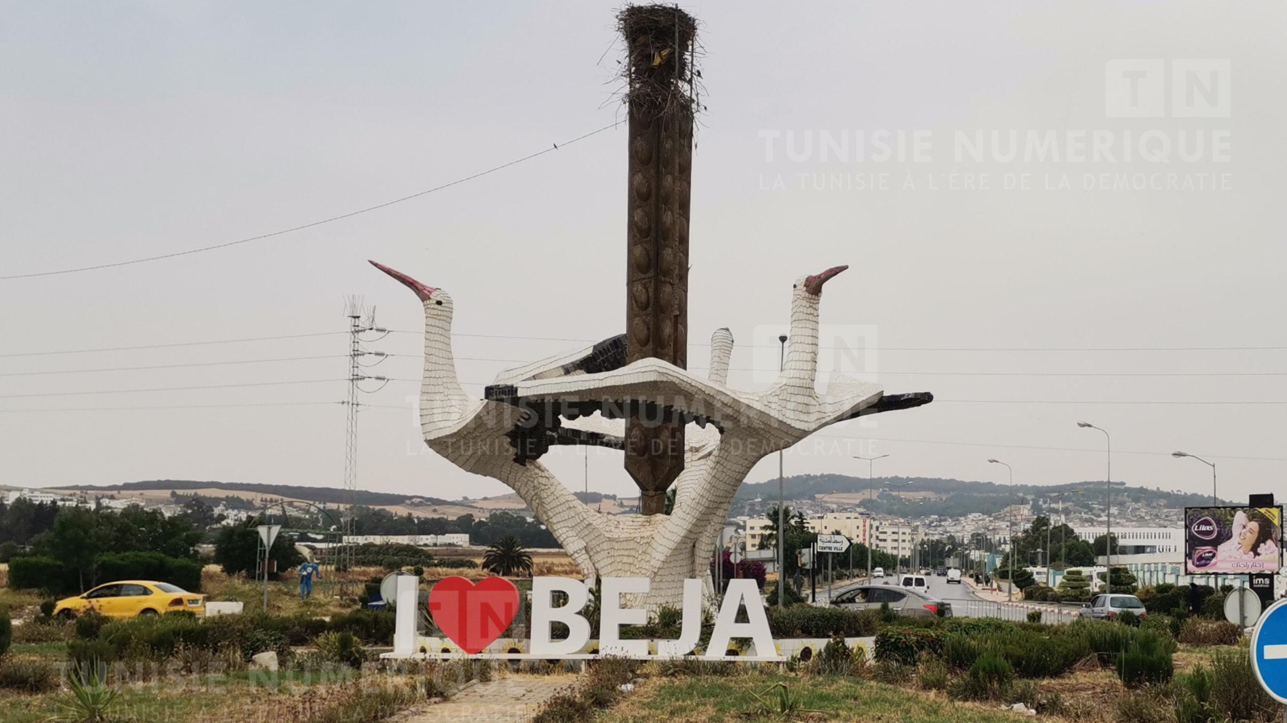 باجة: انطلاق الحملة الانتخابية.. و64 مترشّحا في الدور الثاني (فيديو)