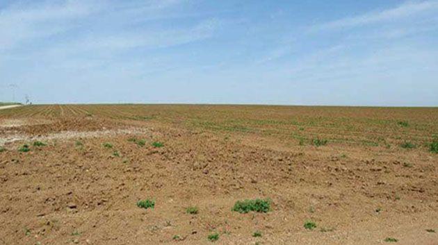 بنزرت: استرجاع 53 هكتار من الأراضي الدولية الفلاحية بماطر