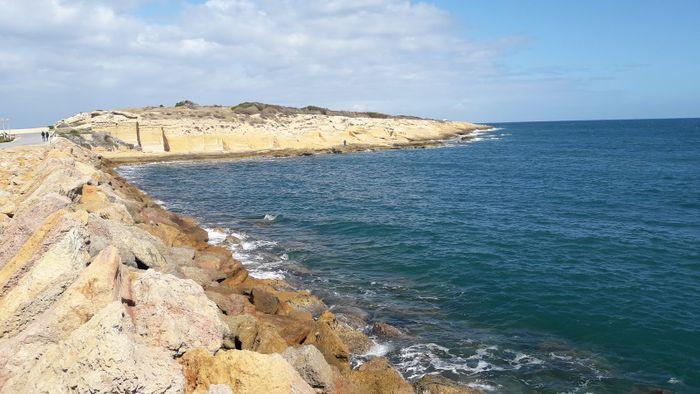 منتدى الحقوق الاقتصادية والاجتماعية يدعو إلى إعلان حالة طوارئ بيئية في خليج المنستير