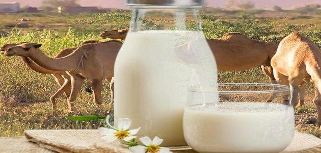 والي توزر يدعو لإيجاد حلول فورية لإشكاليات مركز تعليب حليب الإبل بحزوة