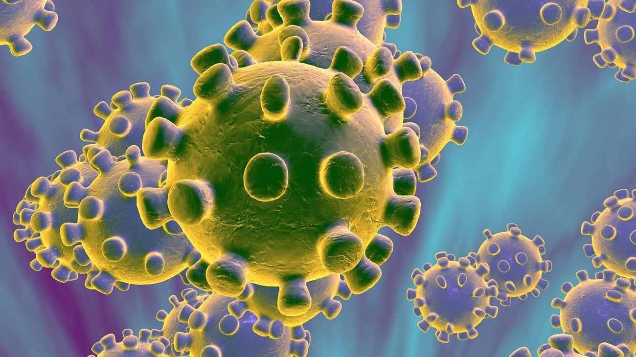 الصّحة العالمية: رصد متحور جديد لفيروس شلل الأطفال في عينات بيئية بغزة