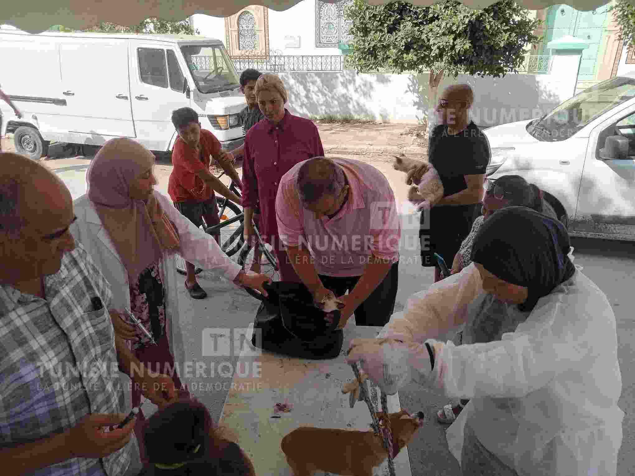 نابل: يوم تحسيسي ضد داء الكلب وحملة مجانية لتلقيح الكلاب والقطط (صور)