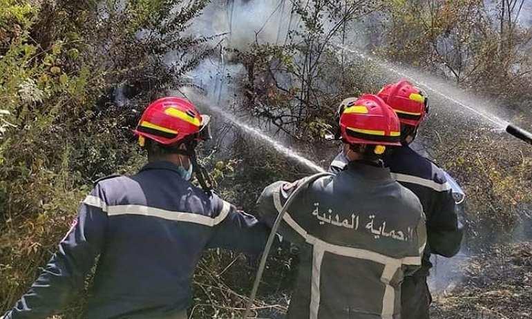 الحماية المدنية بباجــــة : أكثر من 200 حريق منذ غرة ماي 2024