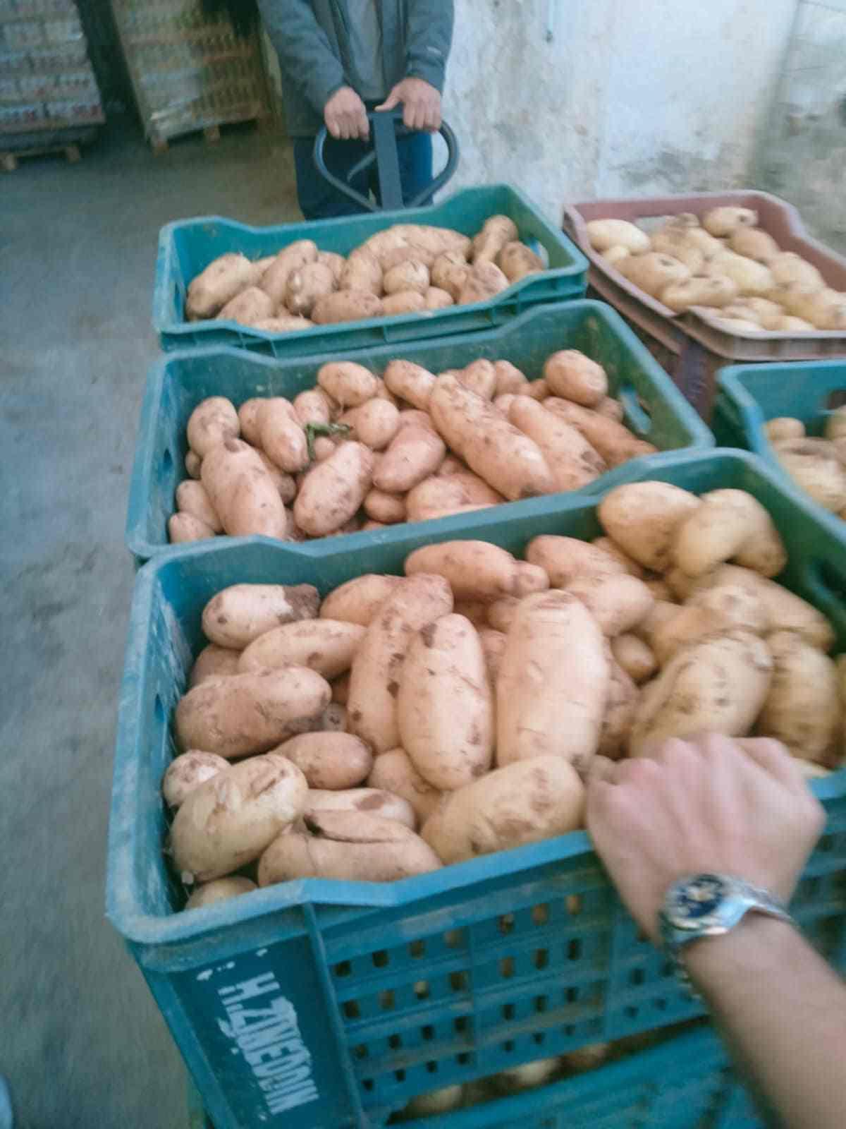 القصرين: ضبط شاحنتين كبيرتين محملتين بـ8,6 طن من مادة البطاطا (صور)