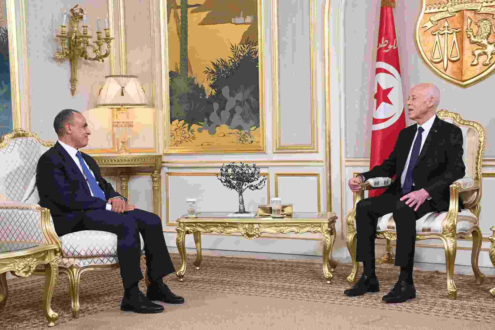 رئيس الجمهورية يستقبل وزير الخارجية والهجرة وشؤون المصريين بالخارج