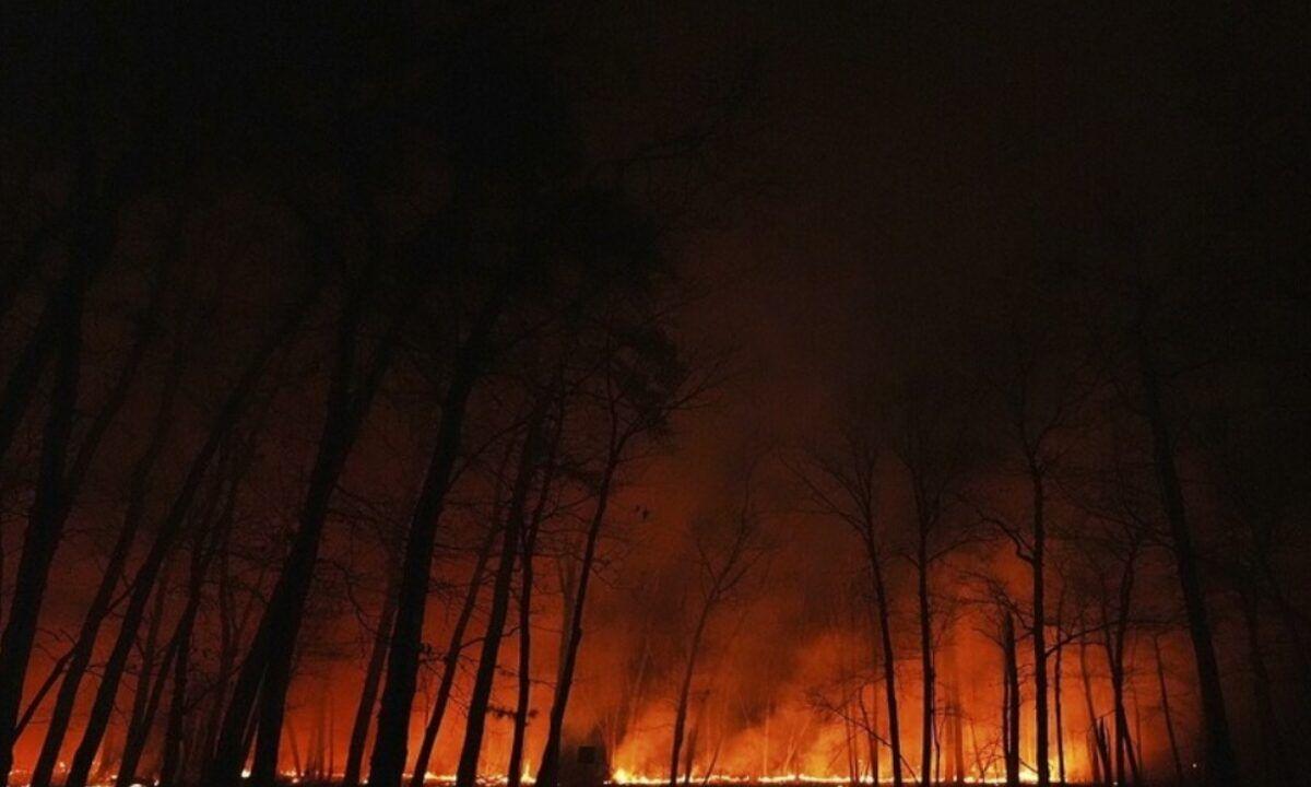 حرائق غابات ضخمة تجتاح نيوجيرسي الأمريكية