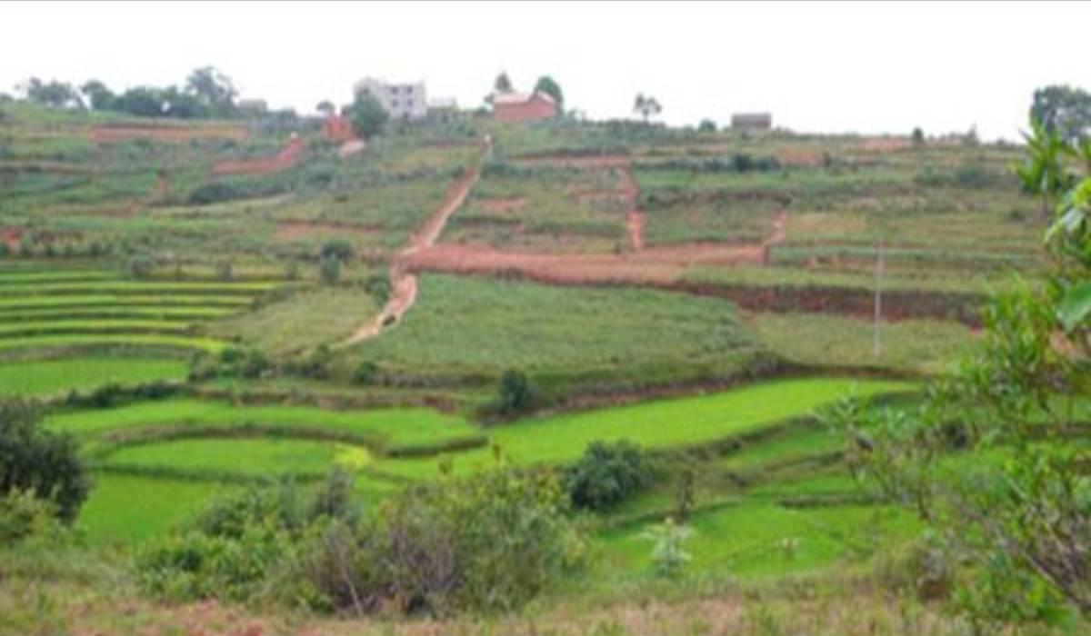 سليانة: إخلاء عقار دولي فلاحي مساحته 8 هكتارات