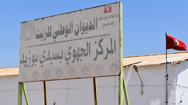 سيدي بوزيد: عودة نشاط فرع ديوان الزيت دعما لصغار الفلاحين