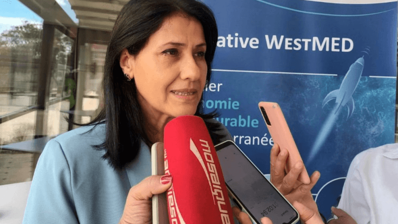 السحيري:خارطة طريق لترفيع مساهمات قطاعات زرقاء في التشغيل والتنمية