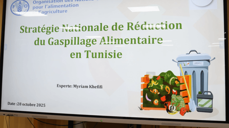 وزارة التجارة: إعداد استراتيجية وطنية للحدّ من التبذير الغذائي