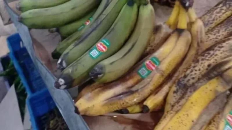 Sousse : Saisie de 646 kg de bananes impropres à la consommation
