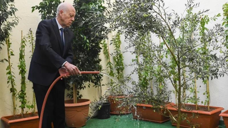 رئيس الجمهورية يُشرف على الاحتفال بعيد الشّجرة بالمجلس الأعلى للتّربية