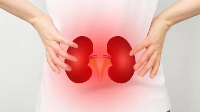 Maladies rénales : 9 % de la population concernée