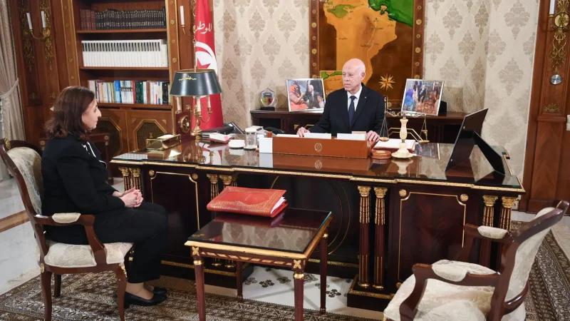 رئيس الجمهورية: تونس لا تحتاج إلى الكفاءة دون وطنية