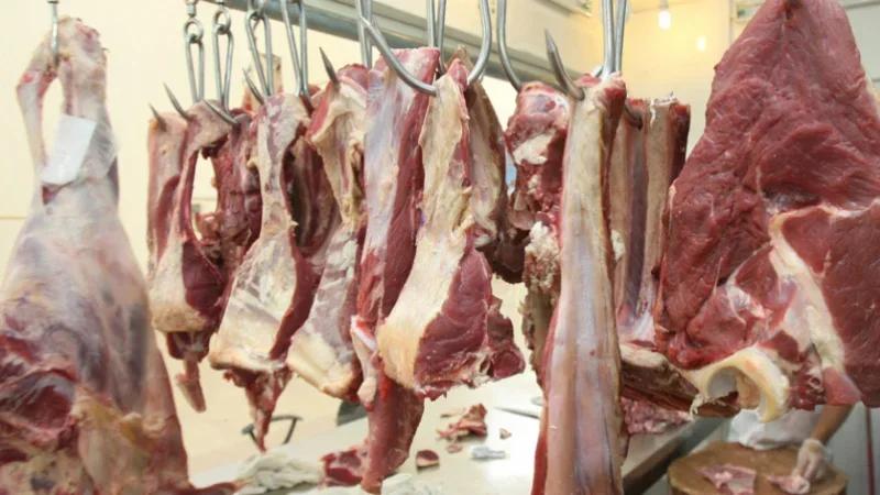 عبيد: لجان رقابية للتحقيق في ملف اللحوم المورّدة وضمان سلامة المستهلك