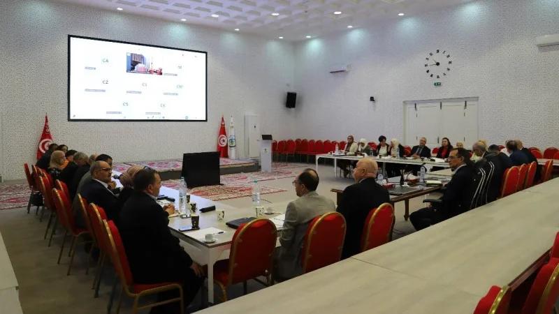 لجنة متابعة موسم جني الزيتون: الجودة تحسّنت مقارنة بالموسم الماضي