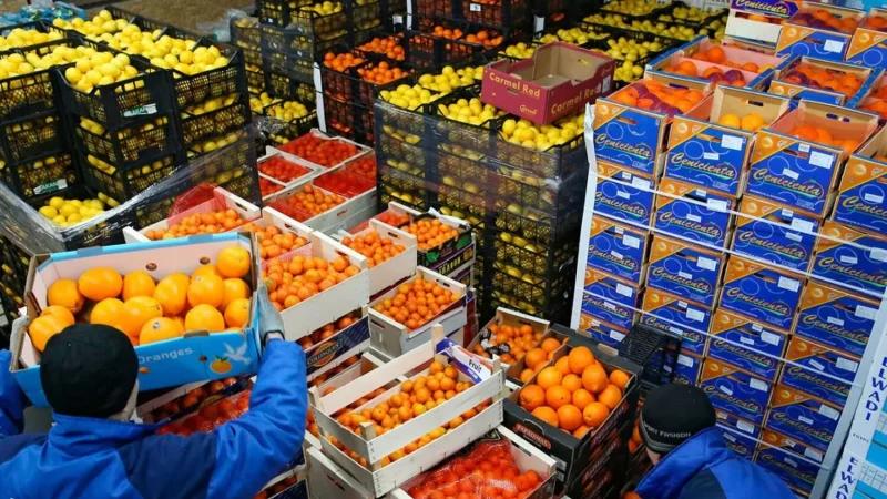 صادرات الفلاحة والصناعات الغذائية نحو المغرب تتجاوز 338 مليون دينار