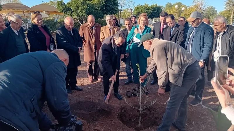 وزير الفلاحة: زيت الزيتون التونسي متوفّر في 60 سوقا بفضل جودته العالية