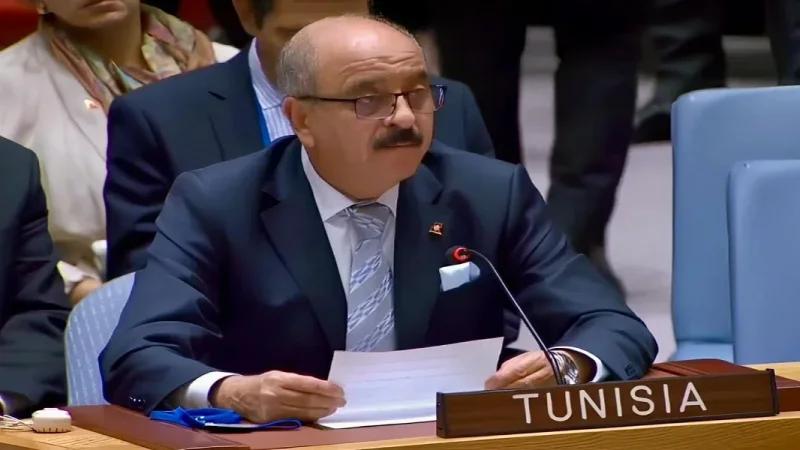 النفطي: حماية المرأة وتعميق الشراكة الإفريقية في مقدمة أولويات تونس