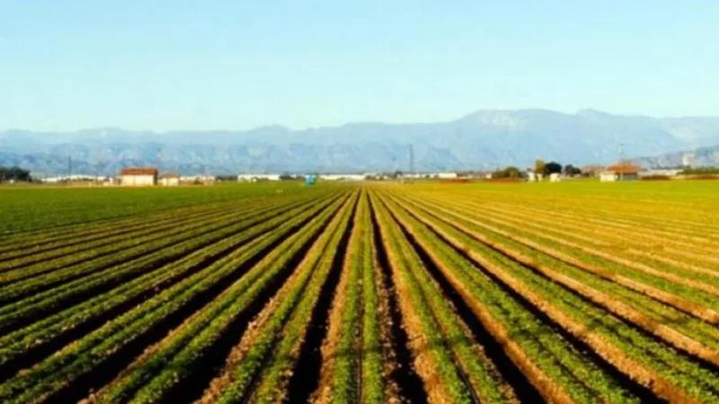 الهذيلي يدعو لرفع آداء لجان استقصاء وتحديد الأراضي التابعة لملك الدولة