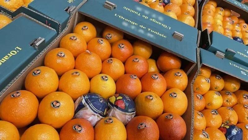 Exportation des maltaises vers la France dès le 31 décembre