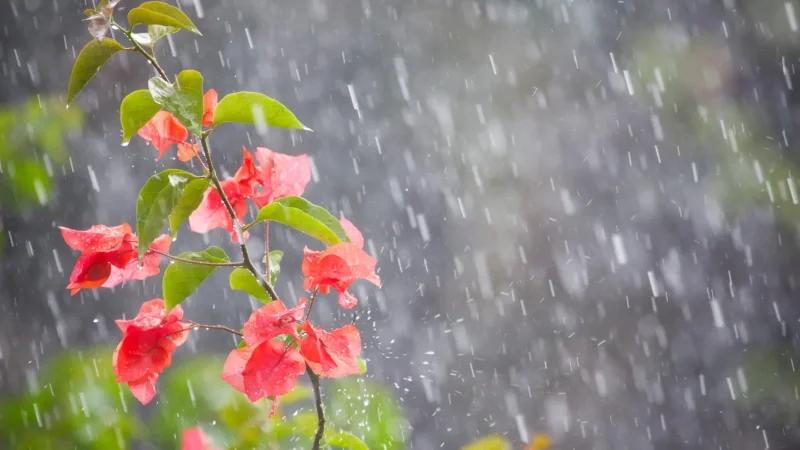 تقلّبات جوية متوقّعة يوم الاثنين